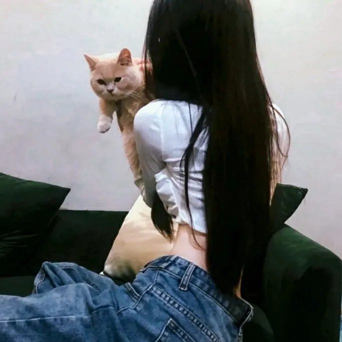 河东狮吼2